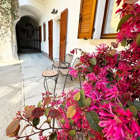Vista - Collection Appartamento Domaso